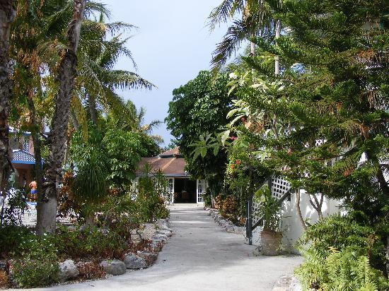 Turtle Cove Inn Екстер'єр фото